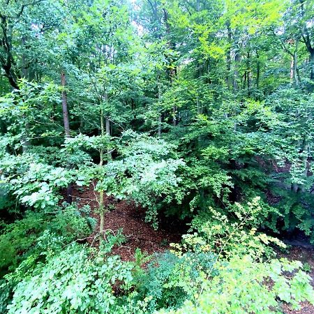 Forest - 23 Marca Sopot By Grand Apartments Kültér fotó
